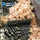 High Temperature Corrosion Stainless Steel Meat Mesh Conveyor Belt