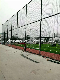 Galvanized PVC Coated Diamond Mesh Wire Chain Link Fence manufacturer