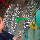 Factory Wholesale ISO & Ce Hot Dipped Galvanized Chain Link Fence