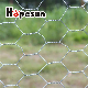 Pre Galvanized Iron Wire Hexagonal Wire Mesh manufacturer