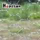 Pre Galvanized Iron Wire Hexagonal Wire Mesh