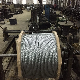  Steel Wire Rope 6X37 with Zinc Coating of Factory Price