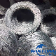 High Carbon / 0.6mm-6mm / Q195, Q235 / Low Carbon / Galvanized Steel Wire