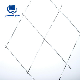  Stainless Steel Wire Welded Mesh Grid
