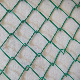 Galvanized / PVC Coated Chain Link Wire Mesh Fence