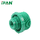  Ifan Free Sample All Size Bsp PVC Fitting UPVC Bushing