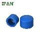  Ifan Brand PPR End Cap Customized Plastic PPR Fittings for Water Pipes