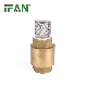 Ifan Brass Ball Valve Cw617brass Materials Check Valve manufacturer