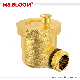 1/2” Natural Brass Color Brass Air Vent Valve for Heating System in High Quality manufacturer