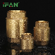 Ifan Brass Spring Check Valve 1/2"-4" Water Check Valve