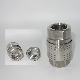 Naiwo No Valve Coupling Straight Quick Coupler Stainless Water Quick Connector