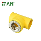 Ifan Wholesale Brass Insert Plastic Yellow PPR Fittings for Water Supply manufacturer