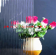 5mm Clear Flora/Clear Nashiji/Clear Karatachi Patterned Glass/