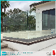 Tempered Shower/Mirror /Balustrade/Fireplace/Laminated Glass with High Quality 10mm 12mm Tempered Glass Price for Frameless Pool Fencing/Glass Swimming Pool