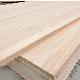  Custom 3mm to 25mm Birch/OSB/Poplar/Pine Wooden Panel Hardwood Plywood Film Faced Plywood Construction Fancy Plywood