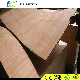 Custom Made Red Luan Meranti Plywood/Commercial Plywood with 3.0-18mm manufacturer