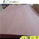 Furniture Grade Okoume Plywood, Bintangor Plywood of Commercial Plywood manufacturer