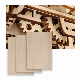 Laser Plywood Plywood 1.5--5mm Natural Wood Sheets Laser Cutting Commercial Basswood Plywood Basswood Sheets for Craft 3D Puzzle Toys manufacturer