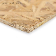  OSB2 OSB3 OSB4 for Packaging and Construction
