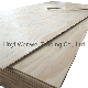 9/12/15/17/19/21mm Pine Non-Structural Plywood for Cabinet Design manufacturer