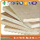 18mm Cheap Commercial Plywood for Furniture