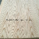  Red Oak Veneer Plywood / Carb Plywood / EPA Grade Plywood / Commercial Plywood