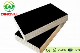  18mm Black Film Faced Plywood/Construction Plywood/Marine Plywood/Phenolic Plywood/Shuttering Plywood