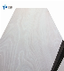  Okoume Plywood/Chinese Plywood with Cheap Price