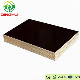 Shuttering Plywood/ Black Film Faced Plywood/Construction Plywood /Phenolic Plywood