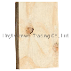  As2269 Standard Structural CD Pine Plywood