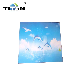 Modern Blue Sky PVC Ceiling Tiles 595X595 HS Code manufacturer