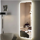 Full Body Wall Mount Living Fitting Room Dressing Mirror with LED Lights manufacturer