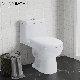 Ortonbath Dual Flush Elongated One Piece Toilet with Removable Soft Closing Seat, Comfort Height, Watersense, High-Efficiency