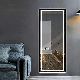  Whole Body Floor-to-Ceiling Mirror with Frame and Light Smart Wall-Mounted Dressing Mirror