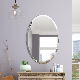 Chinese Wholesale Home Appliance Decorative Wall Mounted Bath Well Designed Mirror with Customized Shape manufacturer