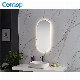 SAA Approval Australia Standard Wall Mounted Oval Bathroom LED Mirror