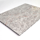 Stone Marble Surface Finish ACP Sheet Aluminium Composite Panel