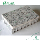 Granite Honeycomb Panel for Exterior Wall, Flooring, Elevator