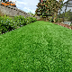  High Quality Landscaping and Garden Artificial Grass Mat Grass Carpet