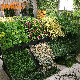 Landscaping Anti-UV Artificial Green Wall Flor Artificial Syntheic Plants