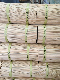 Factory Price Disposable 1.3mm Round Bamboo Stick for Incense