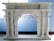  Flower Carving Arch Marble Fireplace Mantel with Roman Column (QY-LS614)