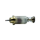 Natural Gas Ignition Safety Device Argentina Magnet Solenoid Valve manufacturer