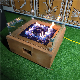 Attractive Price Steel Material 32 Inch Garden Fire Pit Gas