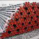 ASTM A106/A53/Spiral/Weld/Seamless/Galvanized/Stainless/Black/Round/Gi Hollow Square Pipes Oil and Gas ERW Carbon Steel Pipe