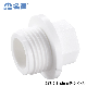 PPR Fittings White Pipe Plug