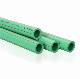 Green PPR Pipe Factory 20X2.3 20X2.8 20X3.4 25X3.4 PPR Factory Wholesale 2021 Prices