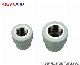 PPR Fitting Female Coupling/Thread/Insert Fitting