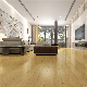 Moisture Resistant Cork Underlayment Typical Warranty Periods Engineered Spc Vinyl Flooring for Building Hall Using manufacturer