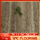 Spc Flooring Manufacturer Best Price 100% Waterproof Unilin Click 4-6mm Spc Flooring manufacturer